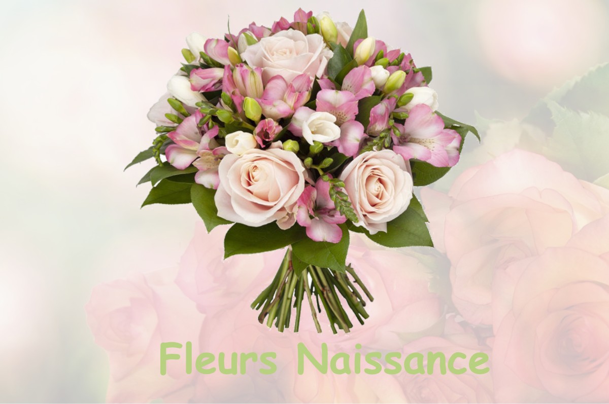 fleurs naissance FRESNOIS-LA-MONTAGNE